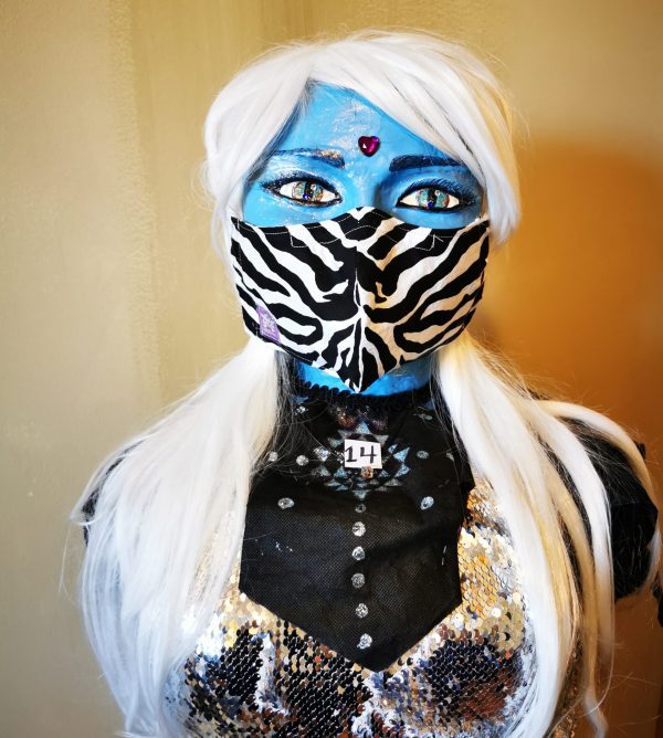 14 - zebra stripes